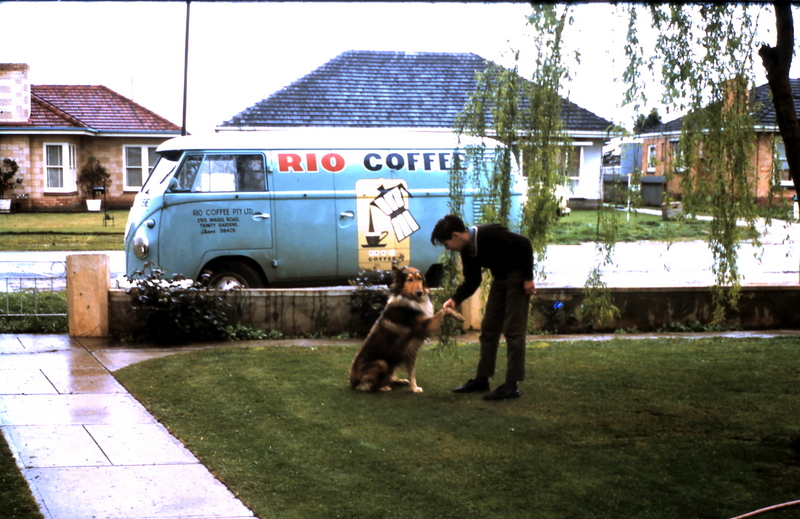 man on front lawn shaking pet dog dogs paw with Rio Coffee VW Combi Van on the street in the background, circa early 1970s