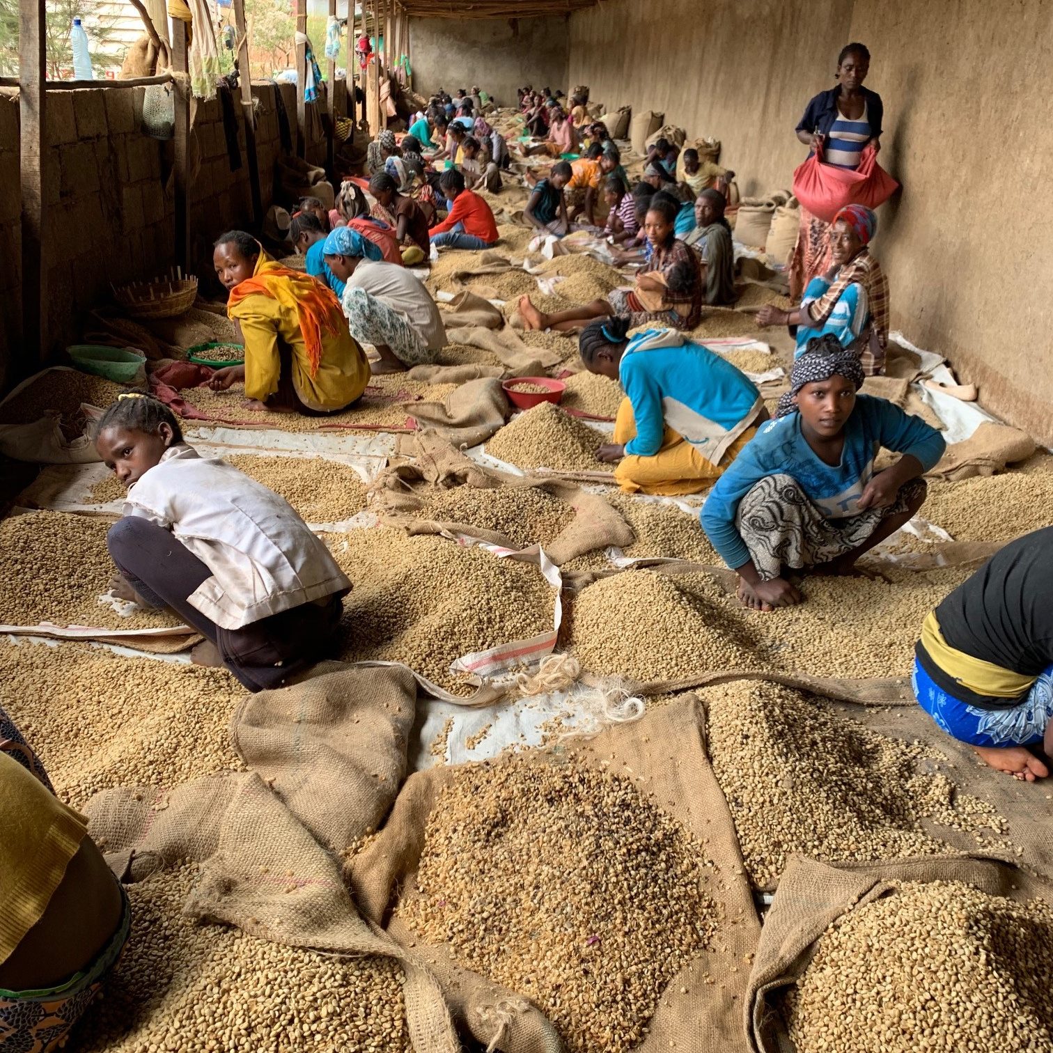 FAIRTRADE ORGANIC COFFEE